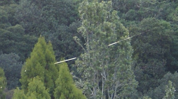 Long Fibers Seen Floating Through The Air In Whangarei Today